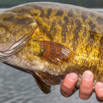 texas-fishing-guide-2011-1