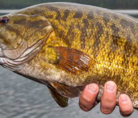 2019 Texas Fishing Guide Photos 1 texas-fishing-guide-2011-1