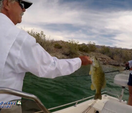 Texas Bass Fishing Photos 11 Tired-of-the-Ski-Slopes-for-the-Season_-Try-Arizona-Bass-Fishing