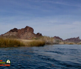 2019 Texas Fishing Guide Photos 1 Topok-Gorge-Colorado-River-Lake-Havasu-AZ-mpv-shot0001