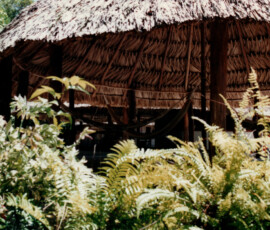 2019 Texas Fishing Guide Photos 6 uriama_payara_fishing_camp_guides_churuata