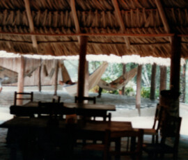 2019 Texas Fishing Guide Photos 5 uriama_payara_fishing_camp_guides_churuata_rain