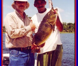 2019 Texas Fishing Guide Photos 2 venezuela_peacock_bass