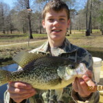 crappie