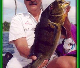 2019 Texas Fishing Guide Photos 10 peacock_1