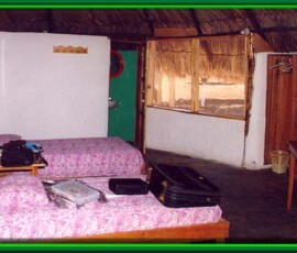 2019 Texas Fishing Guide Photos 2 room