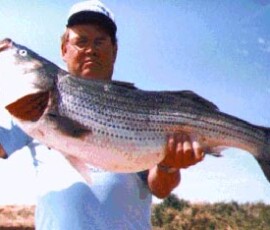 2019 Texas Fishing Guide Photos 13 tinker